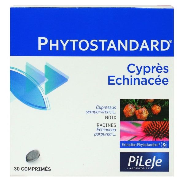 Pileje - Phytostandard - Cypres-Echinacee